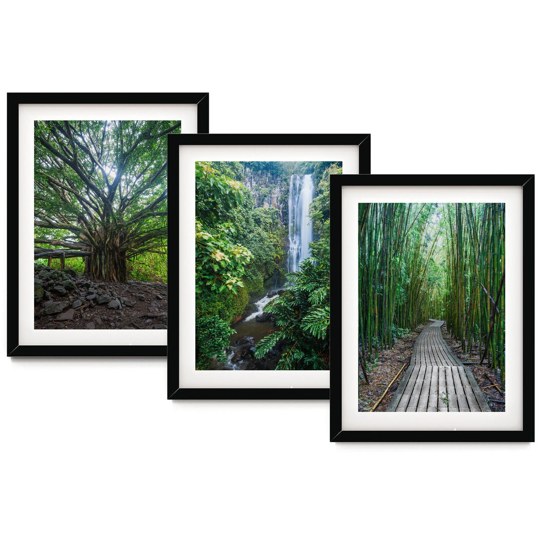 Hawaii Nature, Maui – Print Set – fine art print set in black frames with white mats