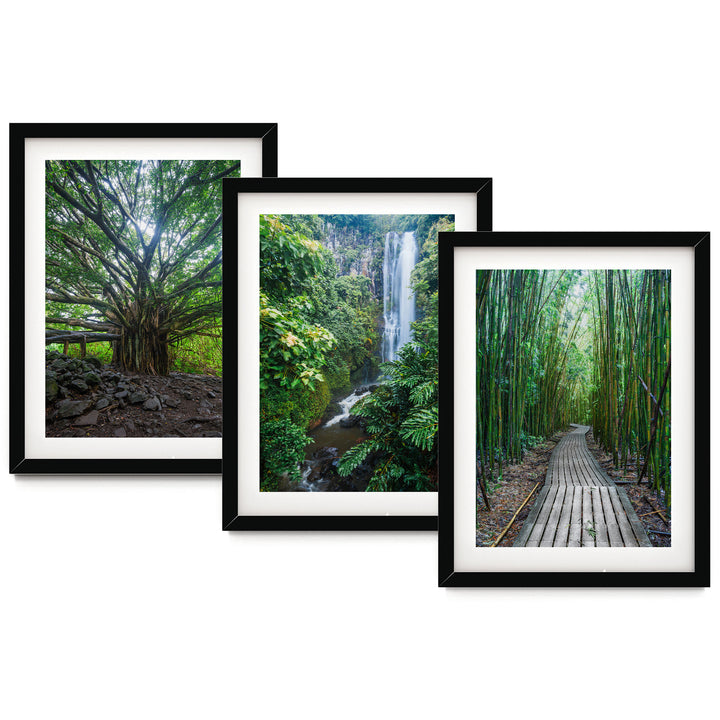 Hawaii Nature, Maui – Print Set – fine art print set in black frames with white mats