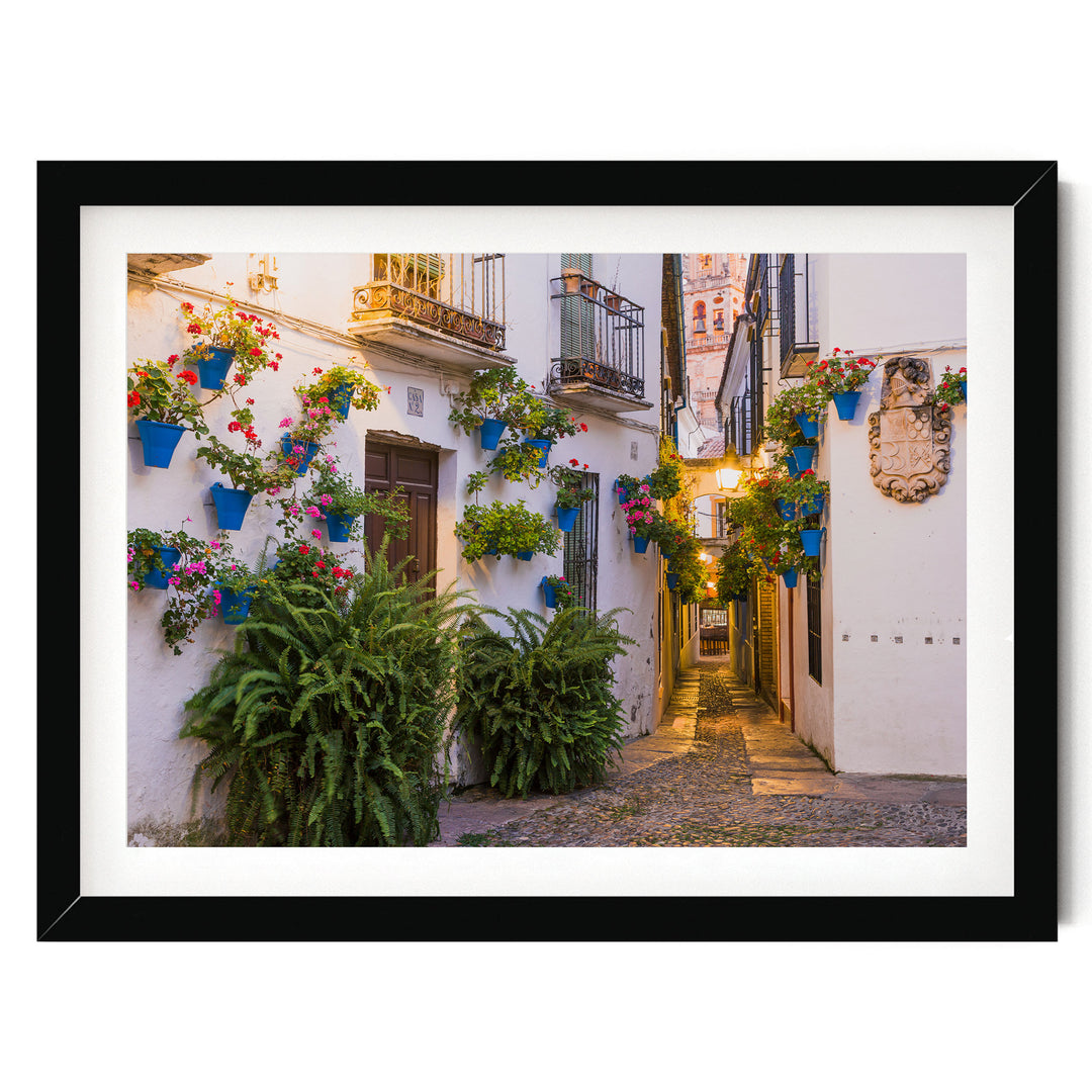 Flower Alley, Córdoba II, Spain – fine art print in a black frame with white mat