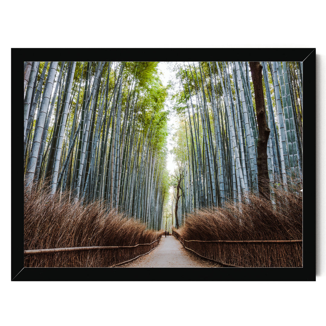 Bamboo Forest, Kyoto I, Japan – fine art print in a black frame, no mat