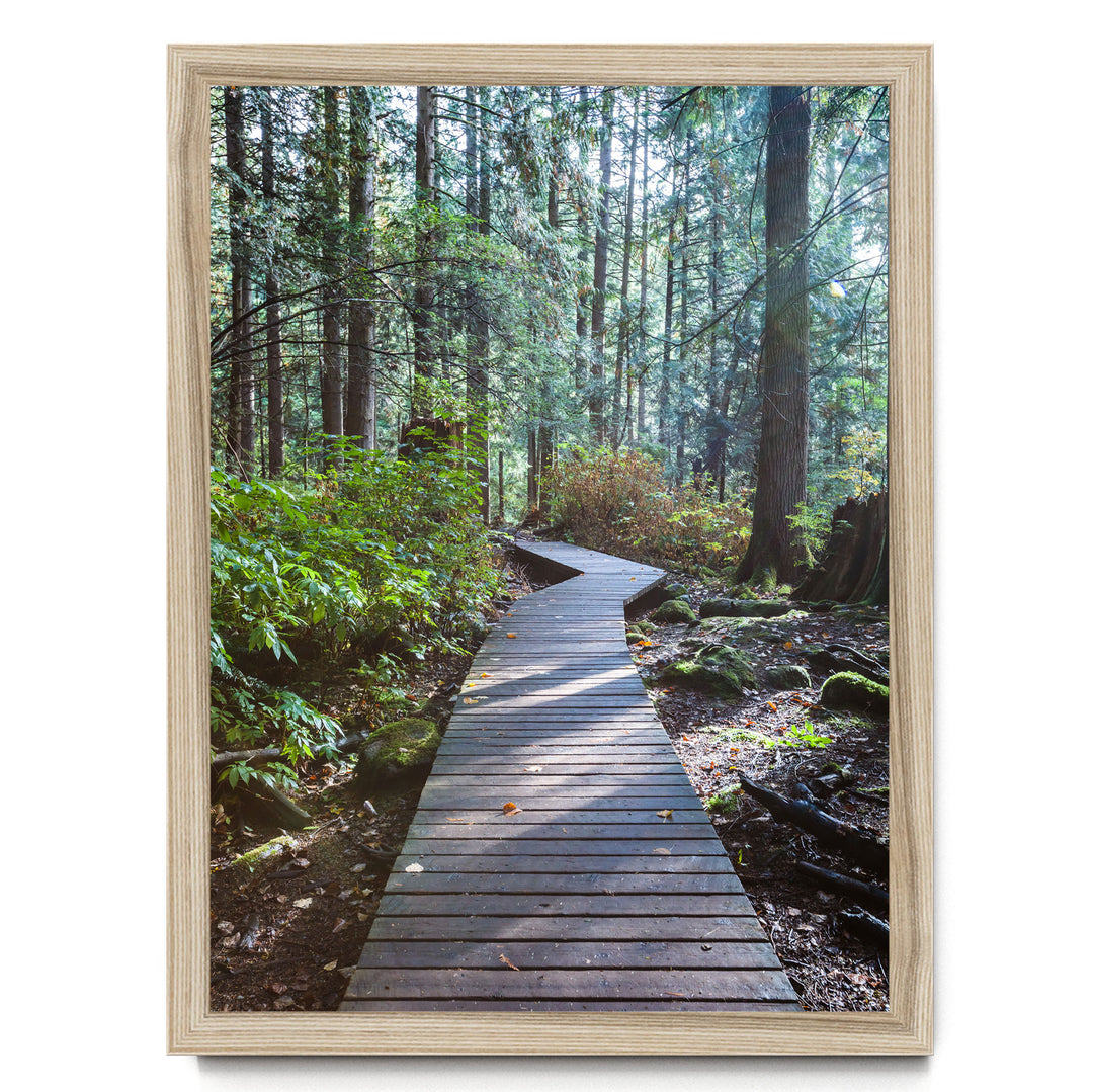 A wooden boardwalk winds through a lush, green forest, surrounded by tall trees and fallen leaves on the ground.