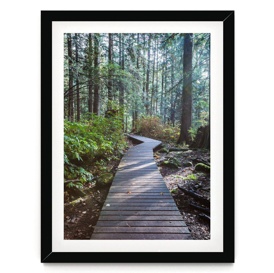 A wooden boardwalk winds through a lush, green forest, surrounded by tall trees and a carpet of fallen leaves.