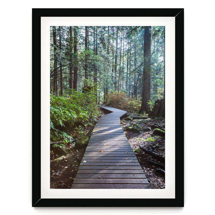 A wooden boardwalk winds through a lush, green forest, surrounded by tall trees and a carpet of fallen leaves.
