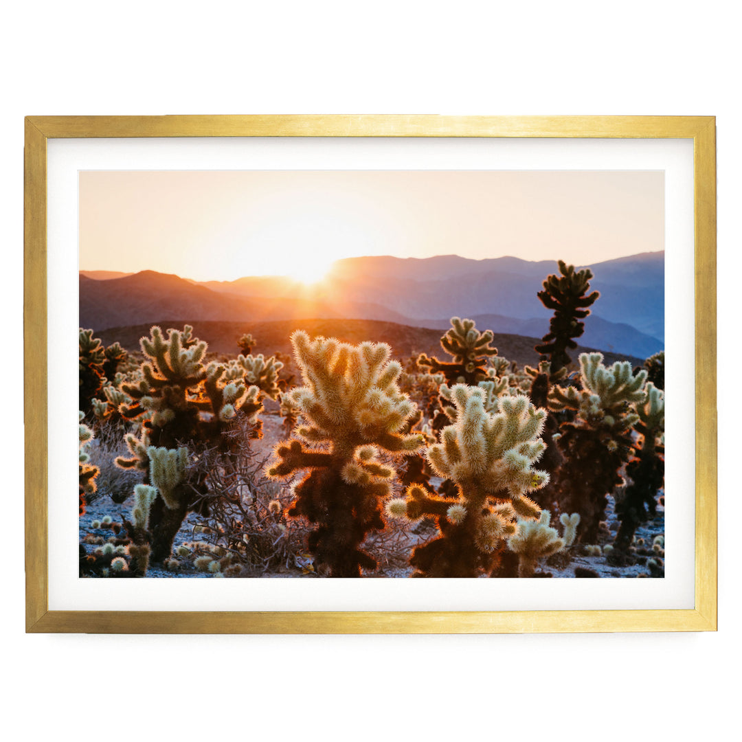 A framed photograph depicting a desert landscape with a sunset in the background, featuring a variety of cacti and shrubs.