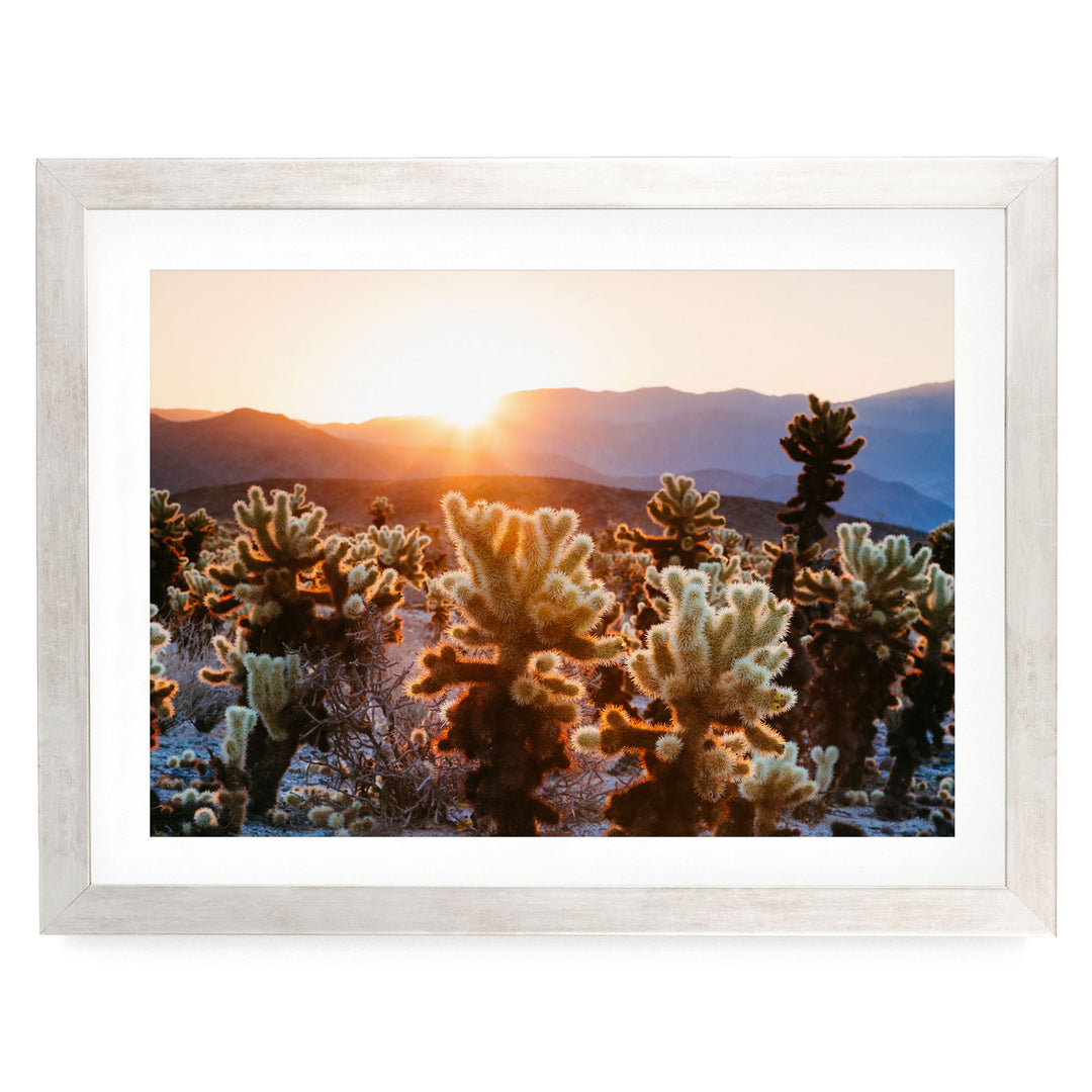 A framed photograph depicting a desert landscape with a cactus field in the foreground and mountains in the background, with the sun setting behind the mountains.