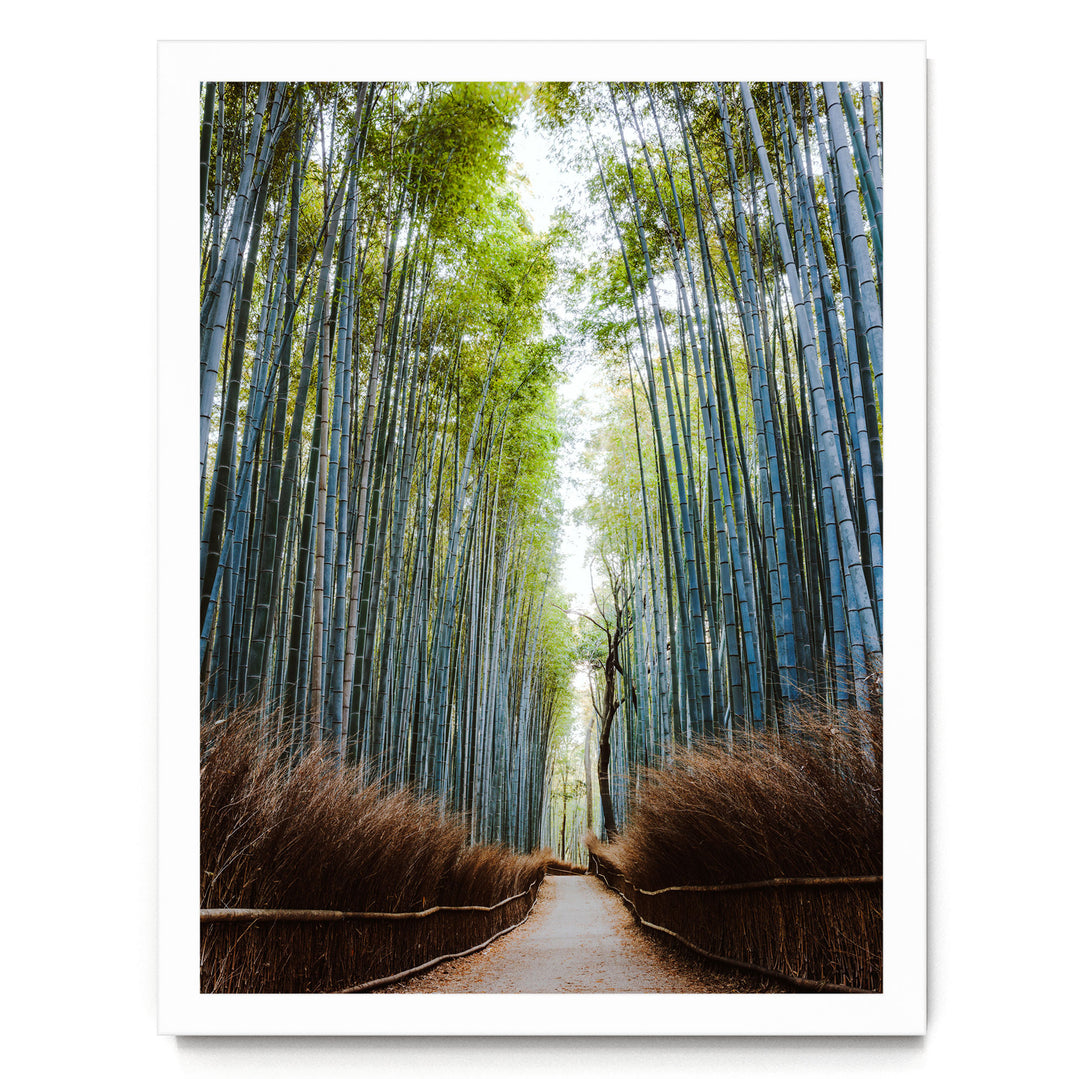 A path winds through a dense bamboo forest, with tall, slender stalks stretching out on either side. The path is surrounded by a grassy area, creating a serene and tranquil atmosphere.