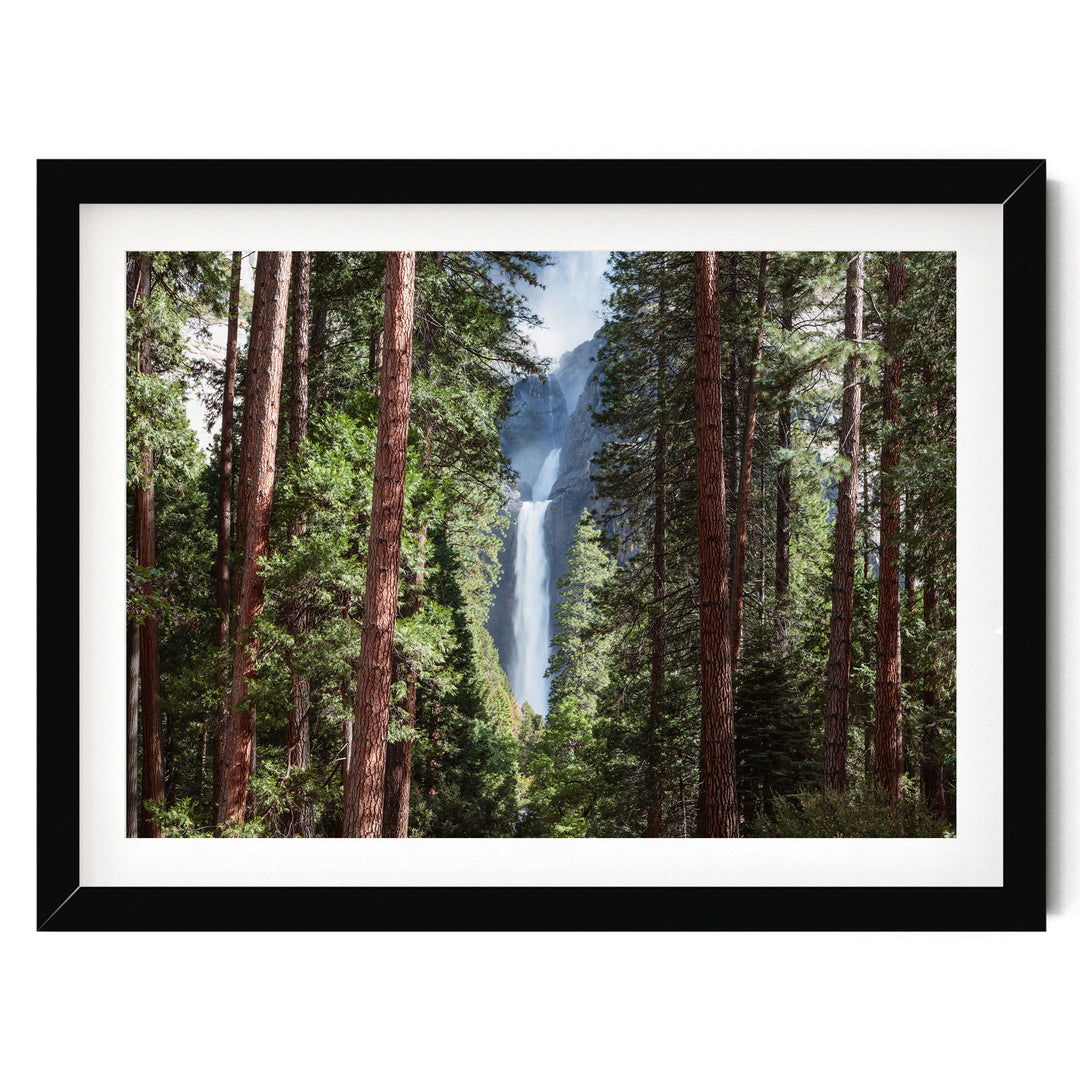 A framed photograph depicting a lush forest with tall trees and a waterfall in the background.