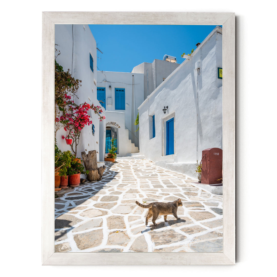 A white building with blue accents, surrounded by potted plants and a stone path, with a cat walking on the path.