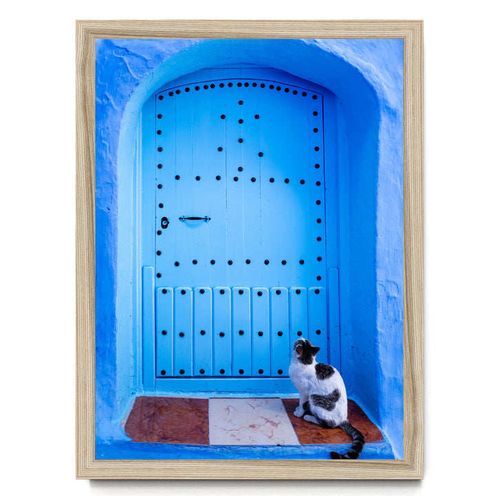 A black and white cat sits on a tiled floor in front of a blue door with a wooden frame, looking up at the door.
