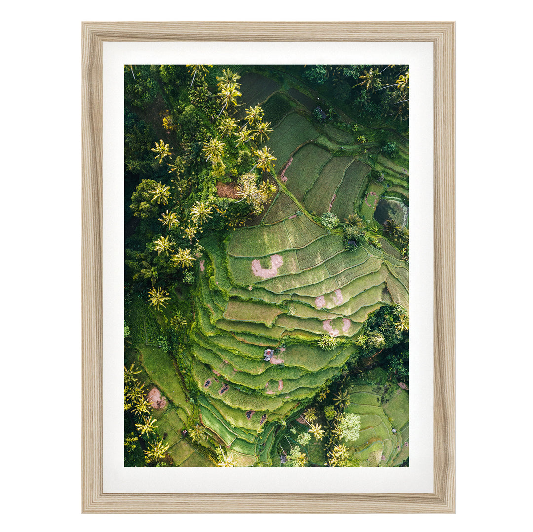 The image is an aerial view of a lush, green landscape with terraced fields and dense vegetation.