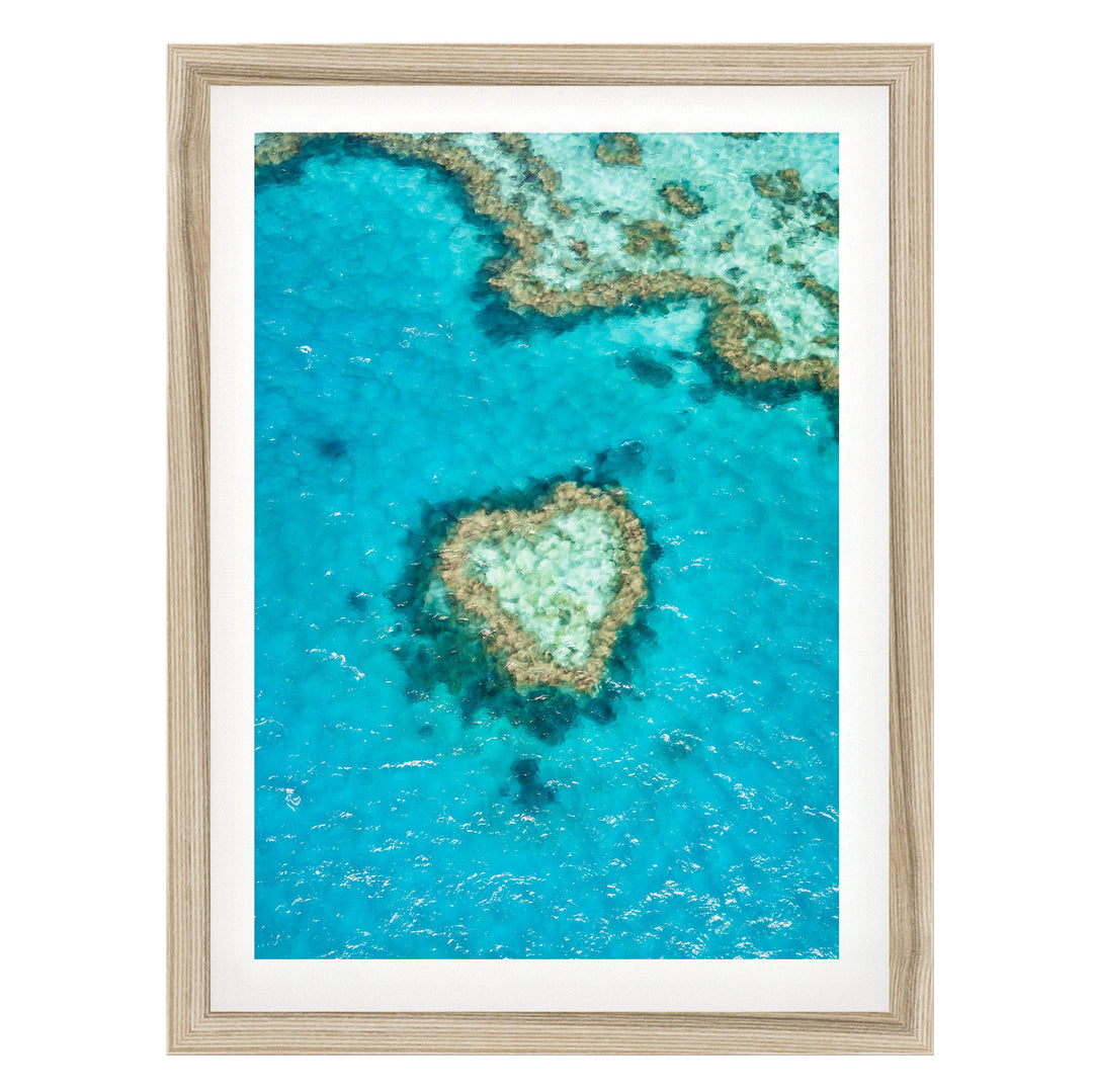 The image is a framed aerial view of a coral reef, showcasing the vibrant blue waters and the intricate structure of the coral formations.