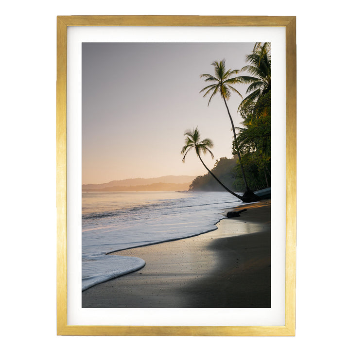 A serene beach scene with palm trees lining the shoreline, as the sun sets over the ocean.