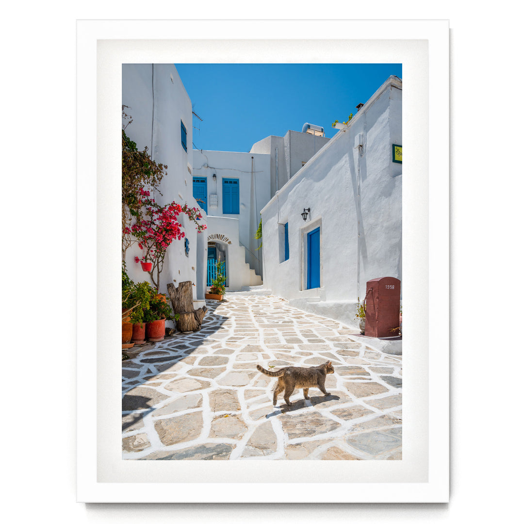 A white building with blue accents and a red trash can, surrounded by potted plants and a stone path, with a cat walking on the path.