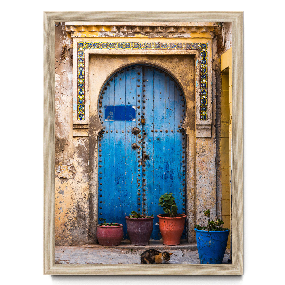 a blue wooden door with a decorative archway, flanked by three potted plants in red, pink, and blue pots. A cat is resting on the ground in front of the door.