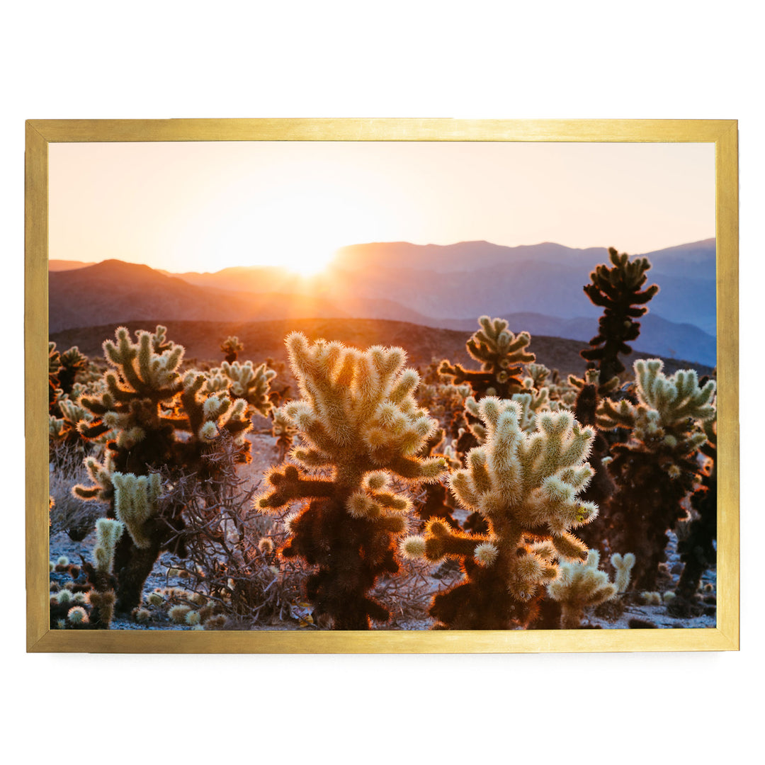 A desert landscape with a warm sunset casting a golden glow over the mountains in the distance.