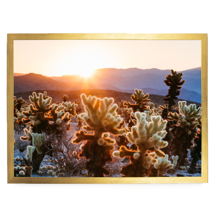 A desert landscape with a warm sunset casting a golden glow over the mountains in the distance.