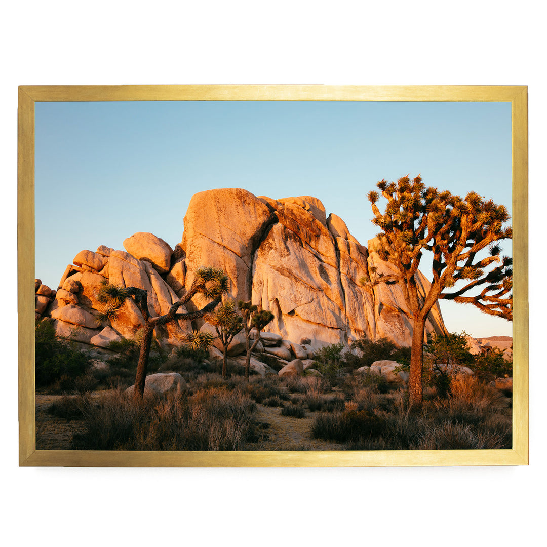 A desert landscape with a large rock formation in the background and a tree in the foreground, set against a clear blue sky.