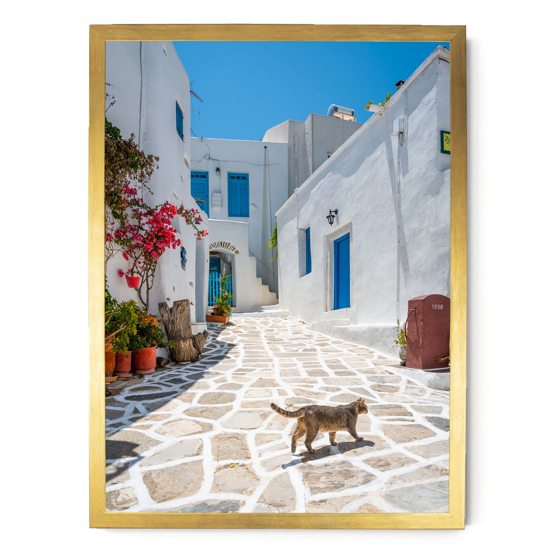A cat walks down a cobblestone street lined with white buildings and colorful flowers, framed in a gold frame.