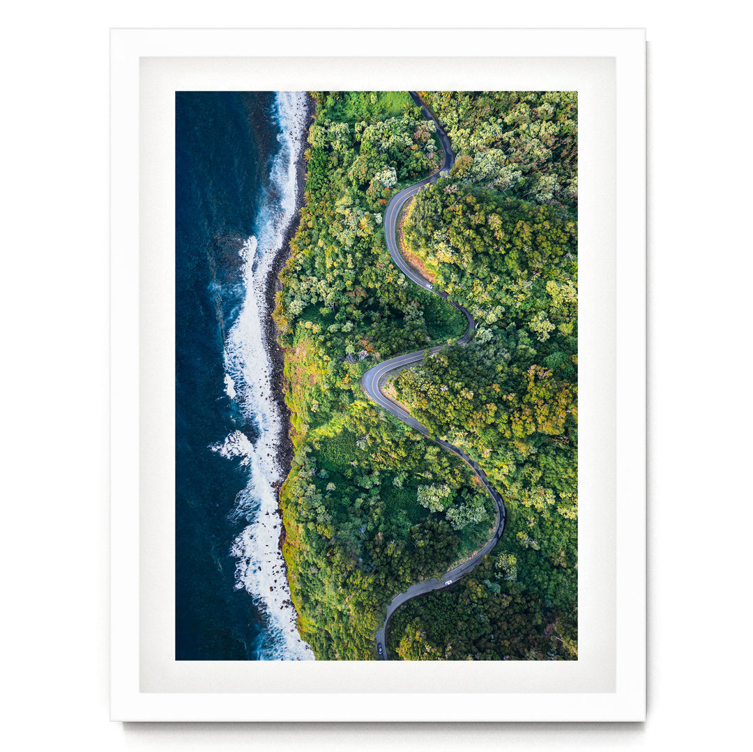The image is an aerial view of a winding road cutting through a lush, green forest near the ocean.
