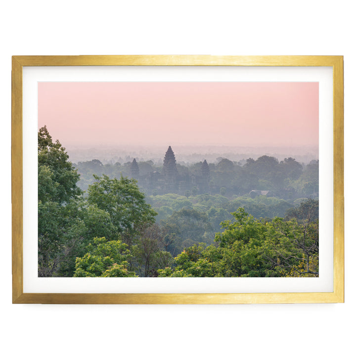 The image is a framed photograph of a lush, green forest with a hazy pink sky in the background.