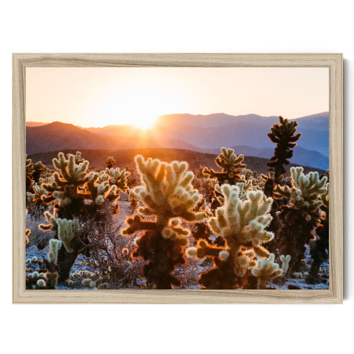 A desert landscape with a warm sunset casting a golden glow over the mountains in the distance.