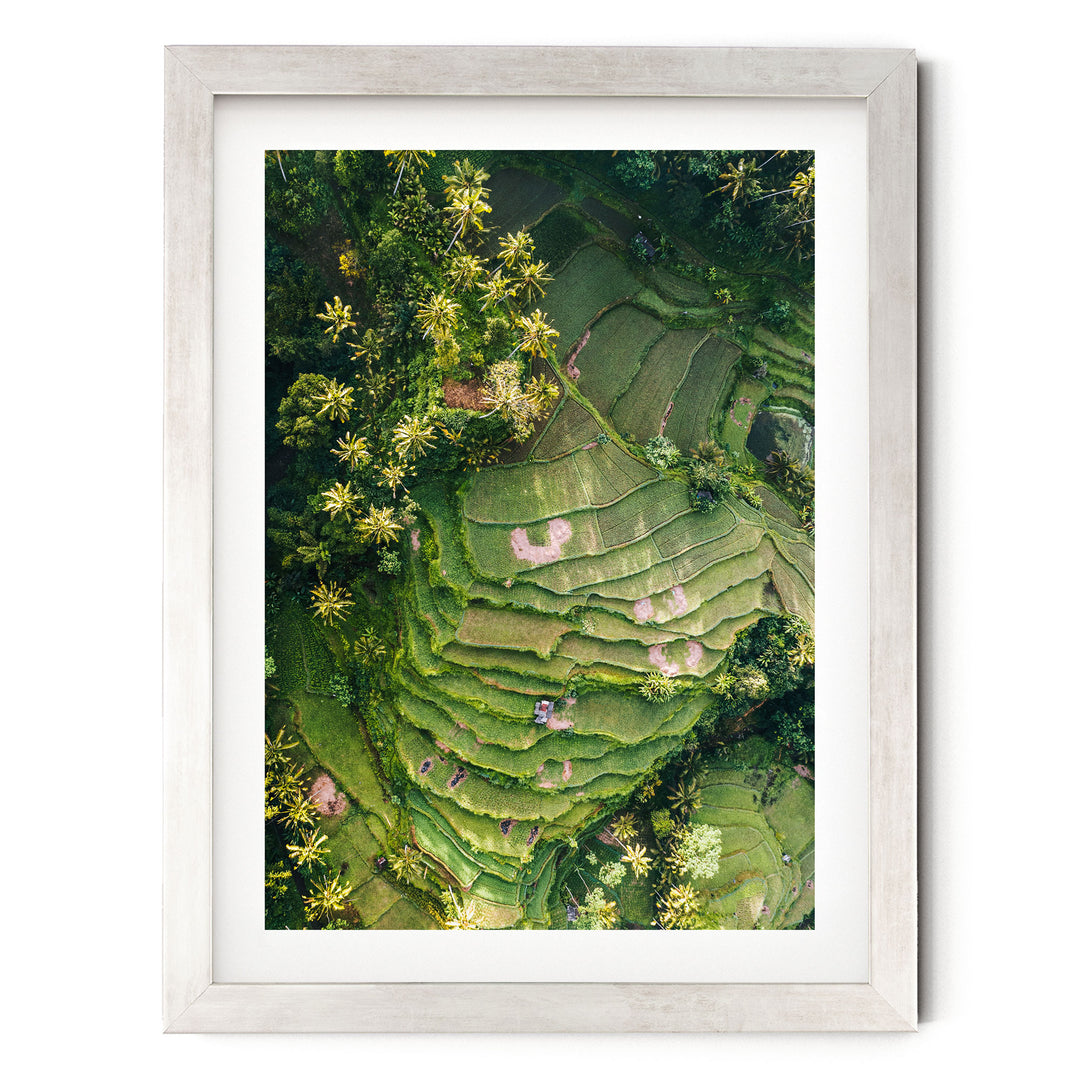 The image is an aerial view of a lush, green landscape with terraced fields and dense vegetation, including palm trees.