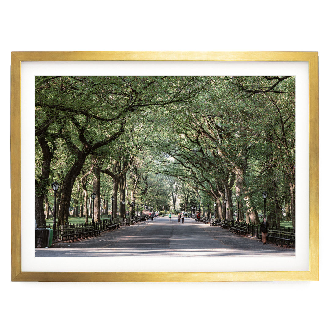 A tree-lined street with people walking along it, framed in a gold frame.