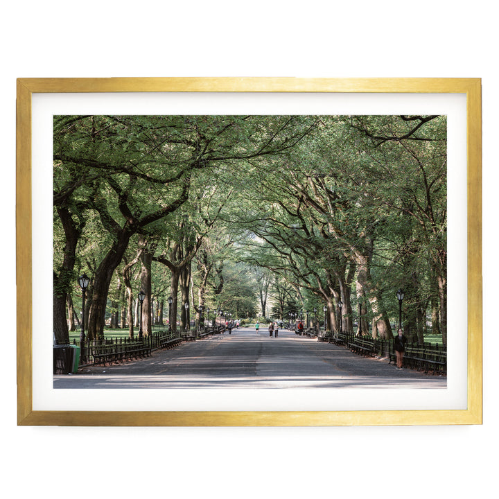 A tree-lined street with people walking along it, framed in a gold frame.