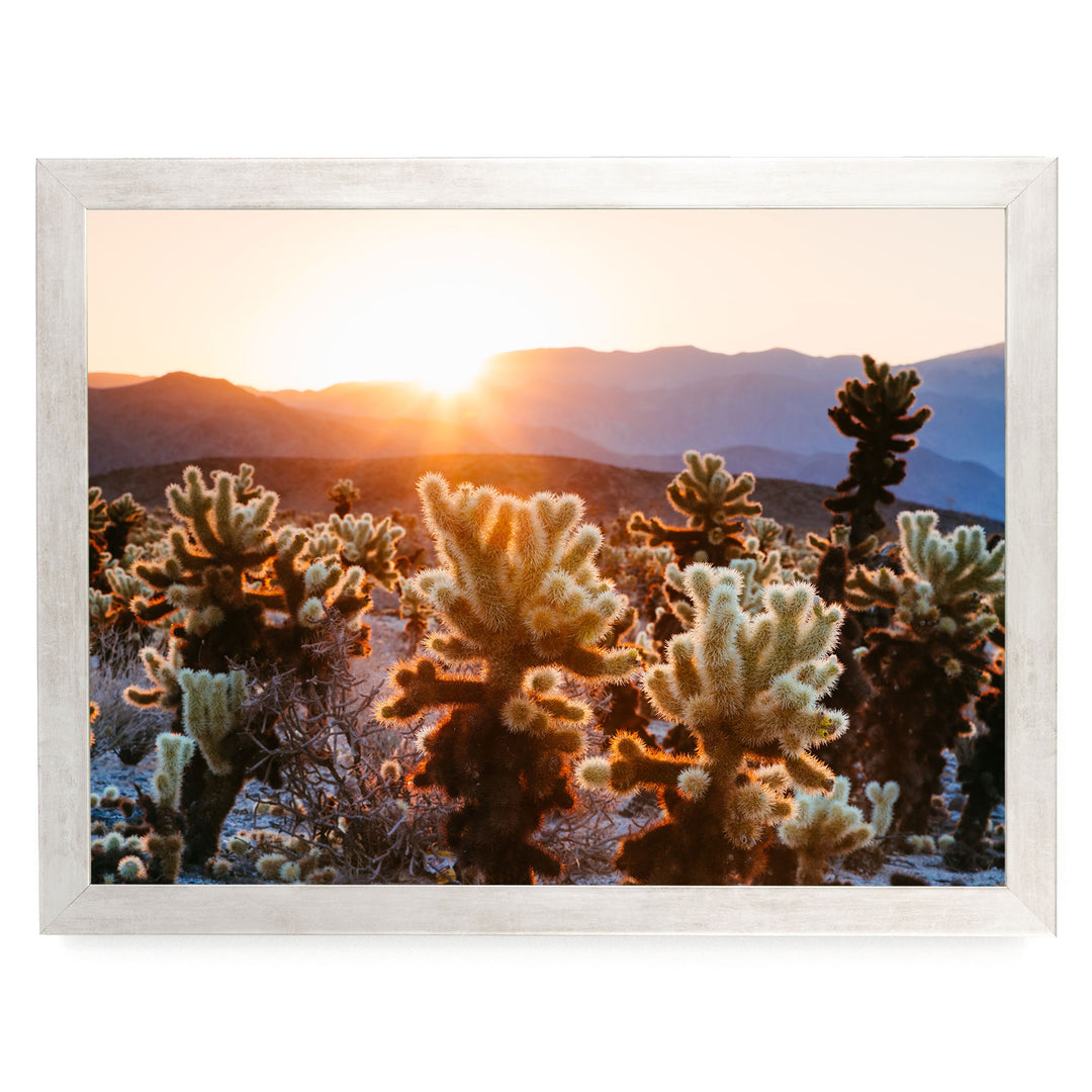 A desert landscape with a warm sunset casting a golden glow over the mountains in the distance.