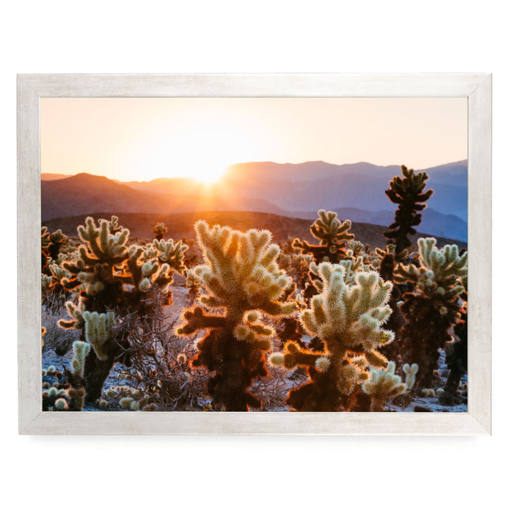 A desert landscape with a warm sunset casting a golden glow over the mountains in the distance.