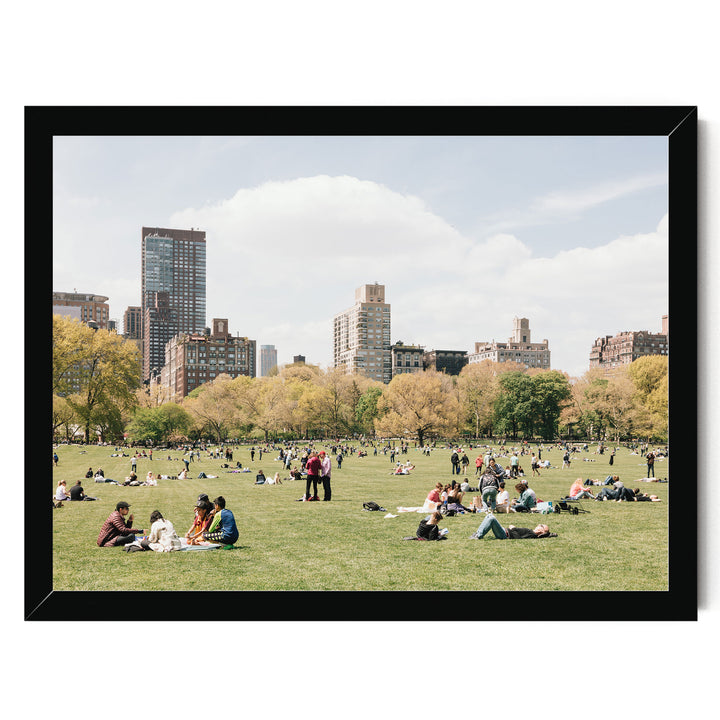 Sheep Meadow, Central Park, New York City print in a black frame without mat