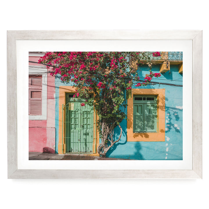 Bougainvillea and Green Door II, Olinda, Brazil print in a silver frame with white mat