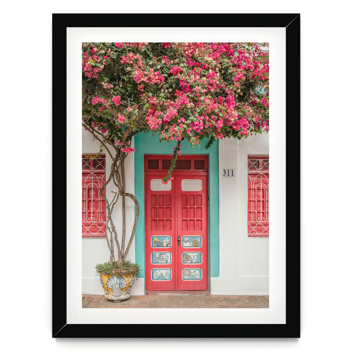 Bougainvillea and Red Door, Olinda, Brazil print in a black frame with white mat