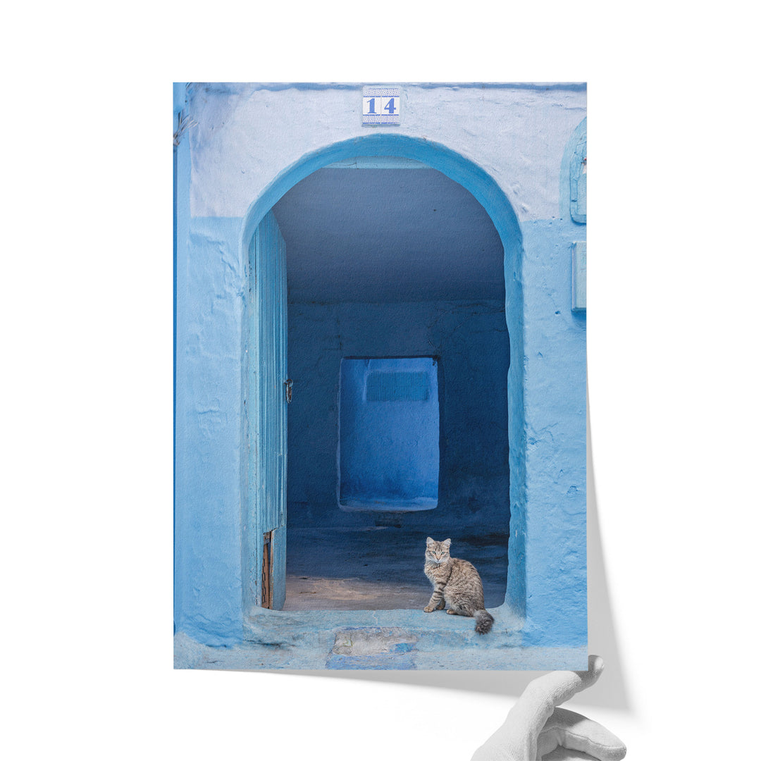 Cat in the Blue Doorway, Chefchaouen, Morocco unframed print on matte fine art paper