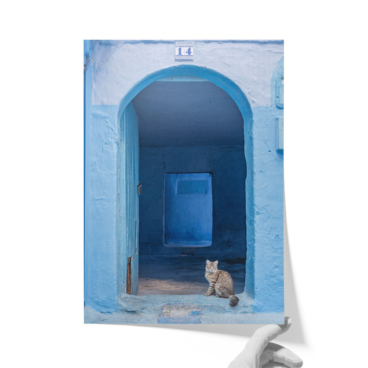 Cat in the Blue Doorway, Chefchaouen, Morocco unframed print on matte fine art paper
