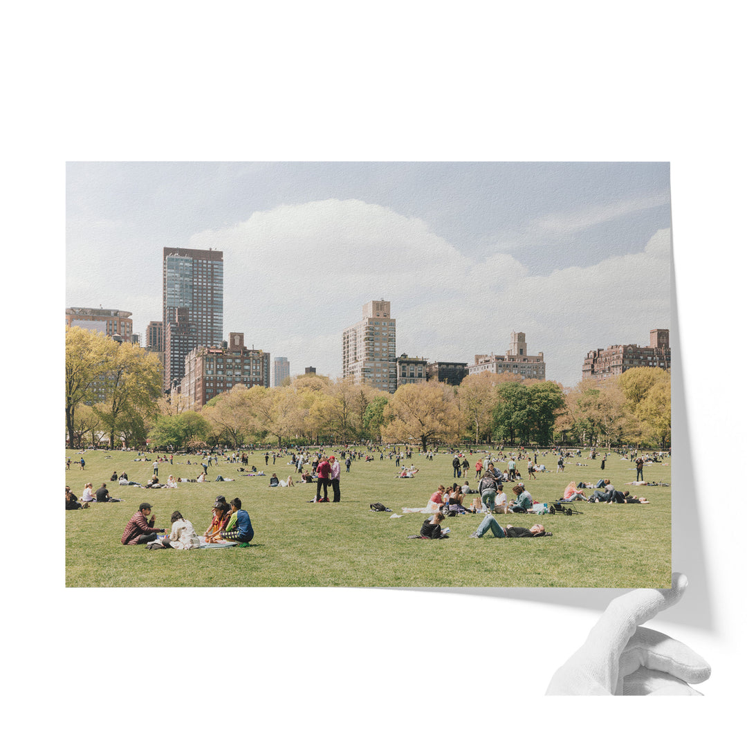 Sheep Meadow, Central Park, New York City unframed print on matte fine art paper