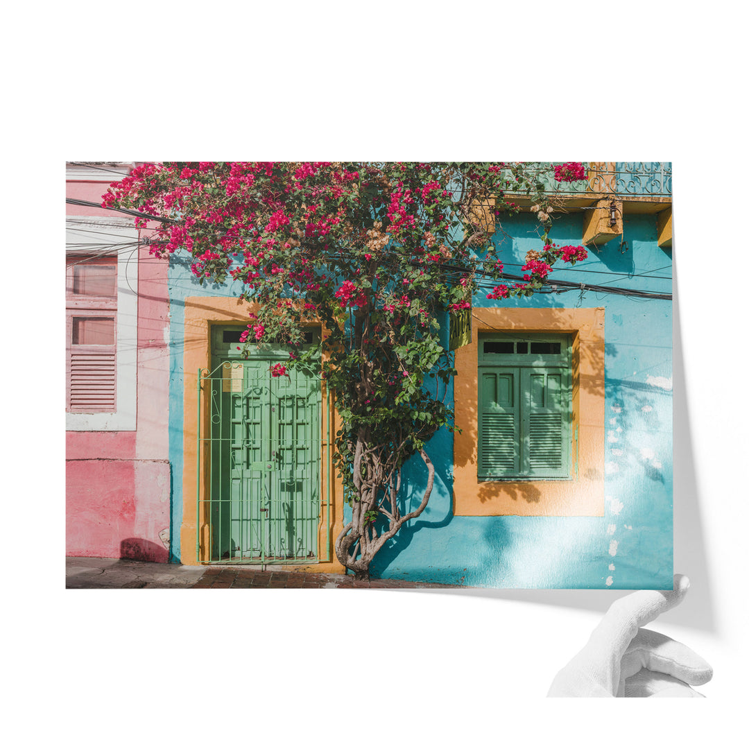 Bougainvillea and Green Door II, Olinda, Brazil unframed print on lustre photo paper