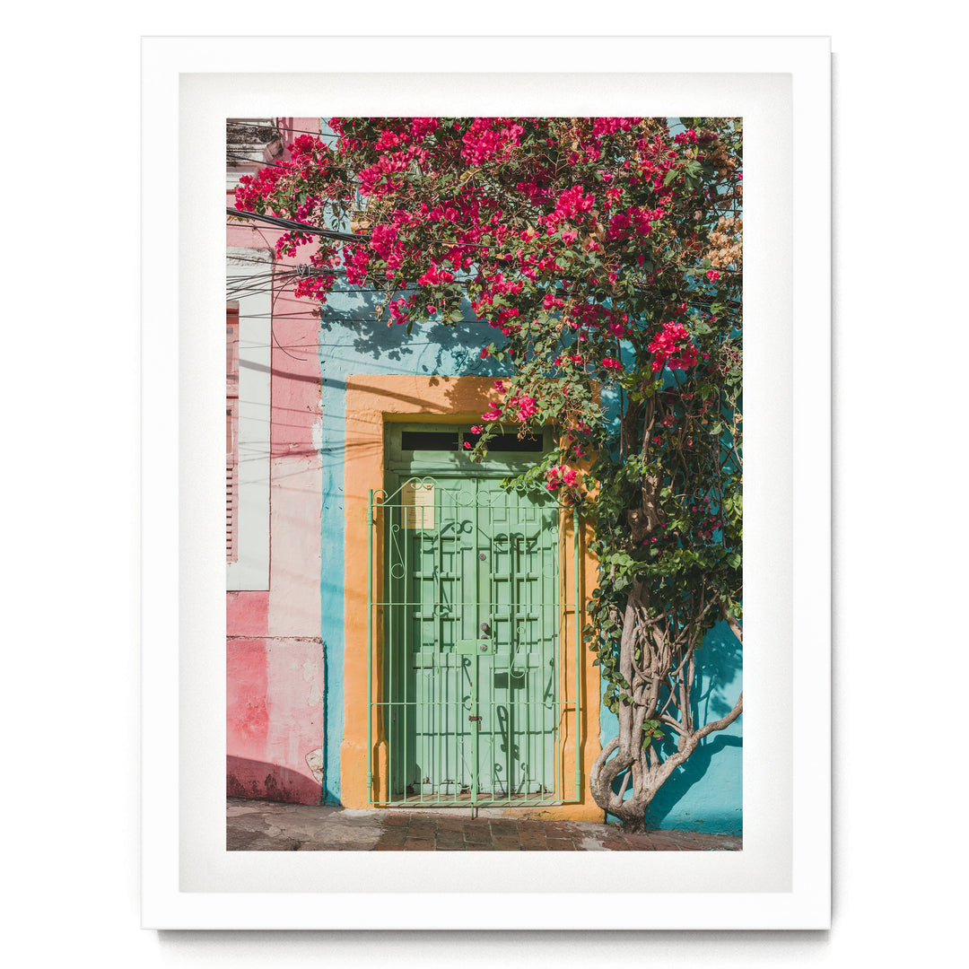 Bougainvillea and Green Door I, Olinda, Brazil print in a white frame with white mat