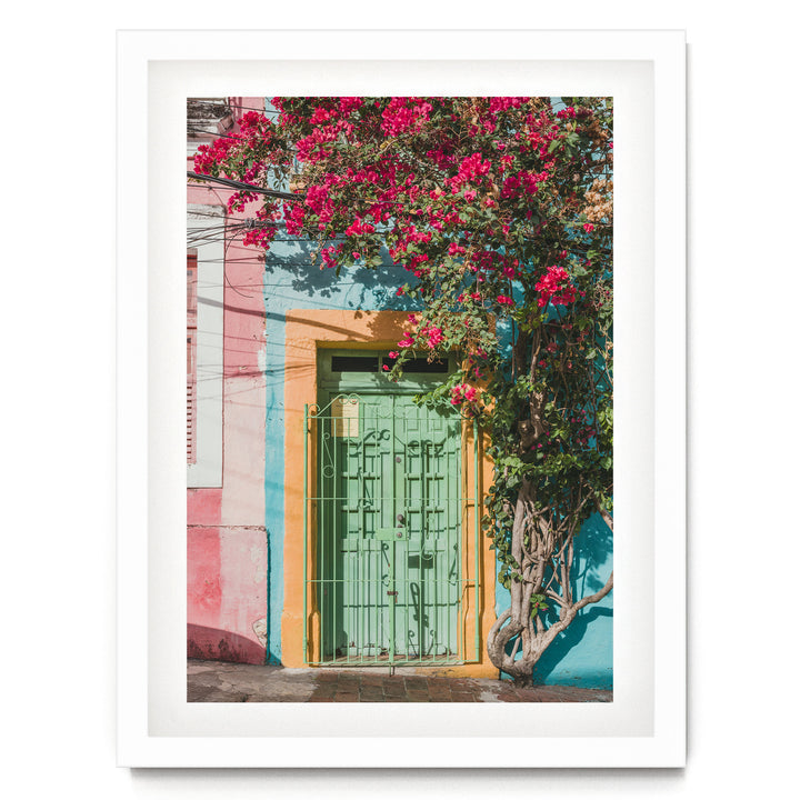 Bougainvillea and Green Door I, Olinda, Brazil print in a white frame with white mat