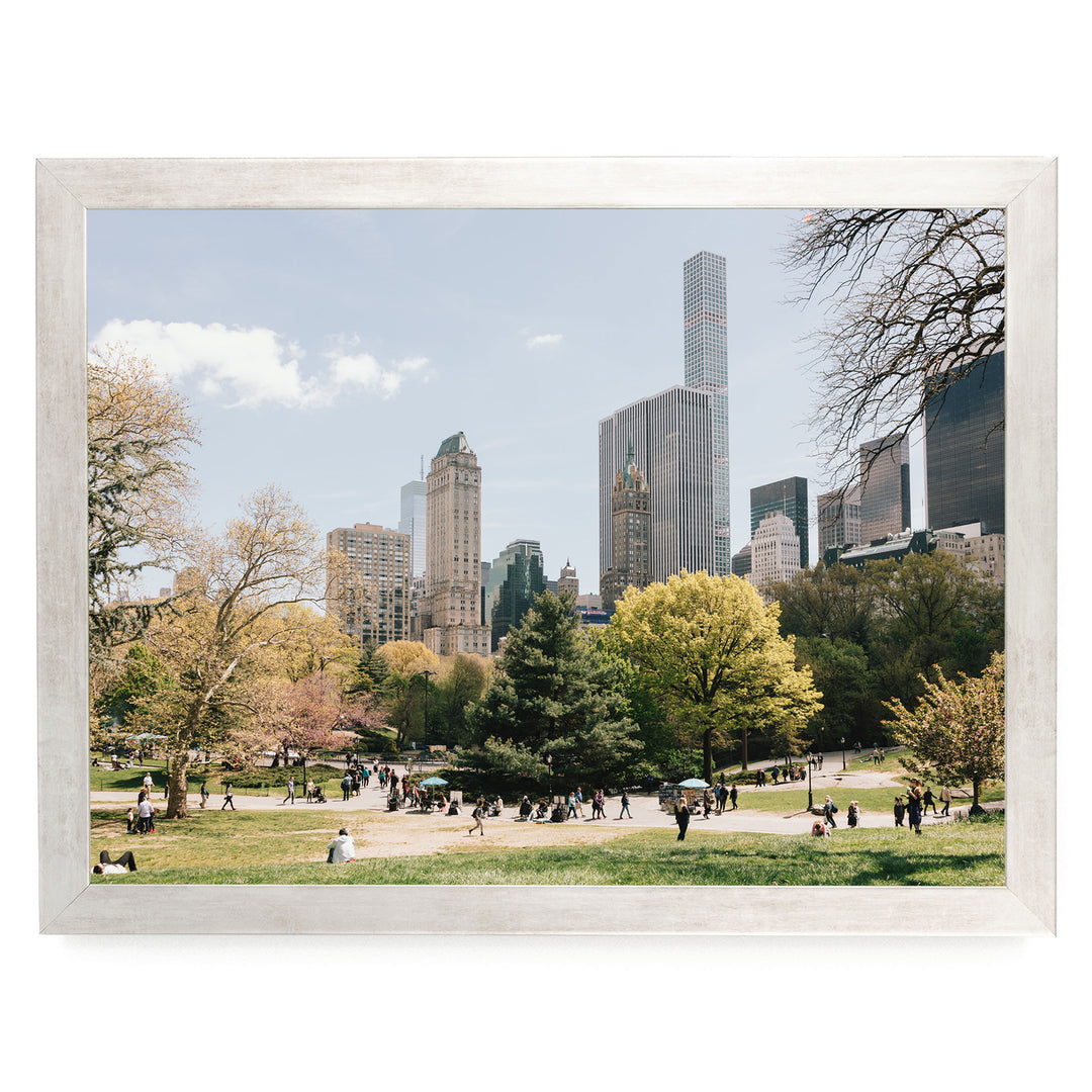 Central Park and Billionaires&