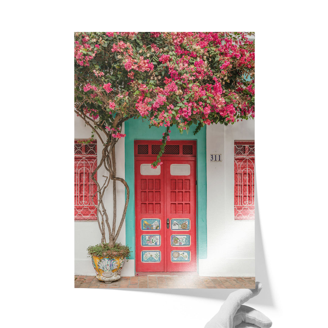 Bougainvillea and Red Door, Olinda, Brazil unframed print on lustre photo paper