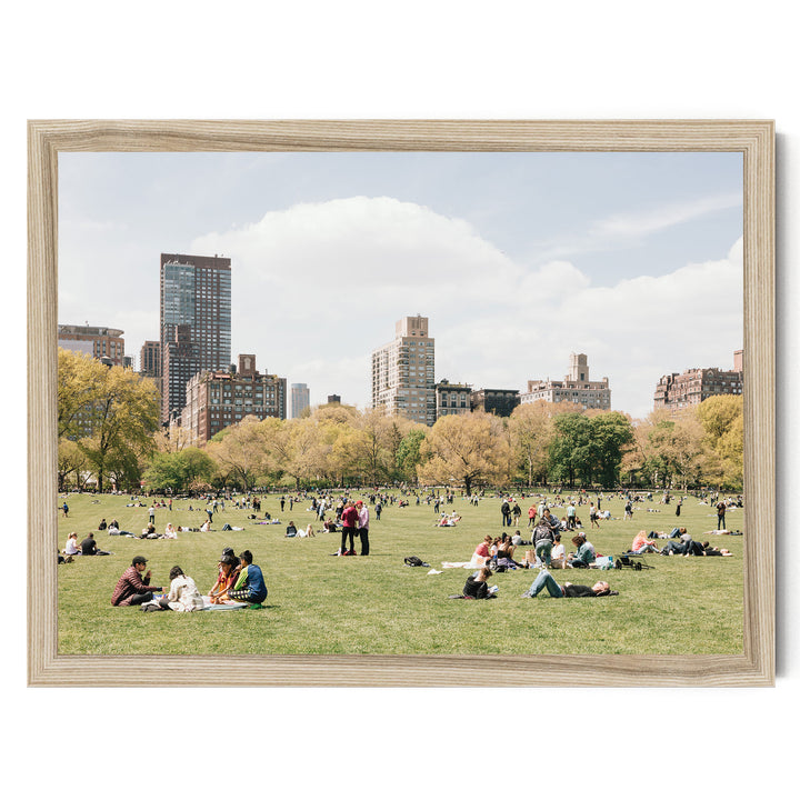 Sheep Meadow, Central Park, New York City print in a natural wood frame without mat