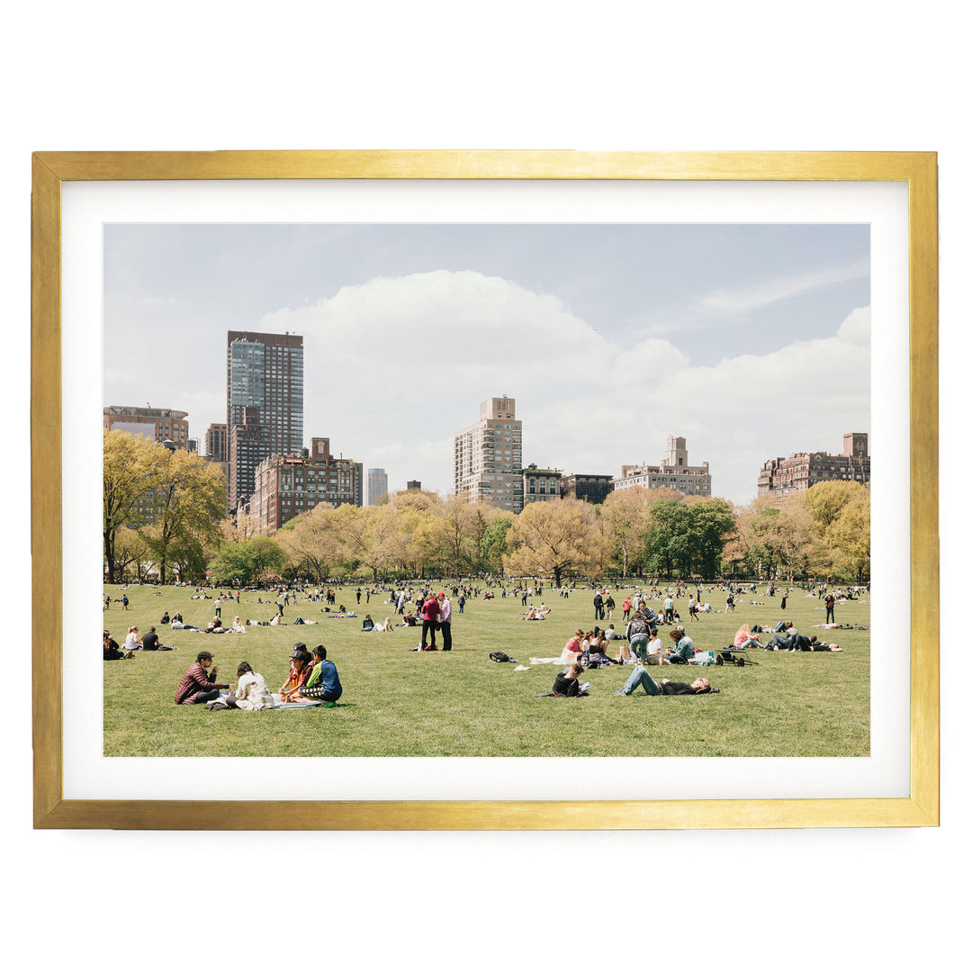 Sheep Meadow, Central Park, New York City print in a gold frame with white mat