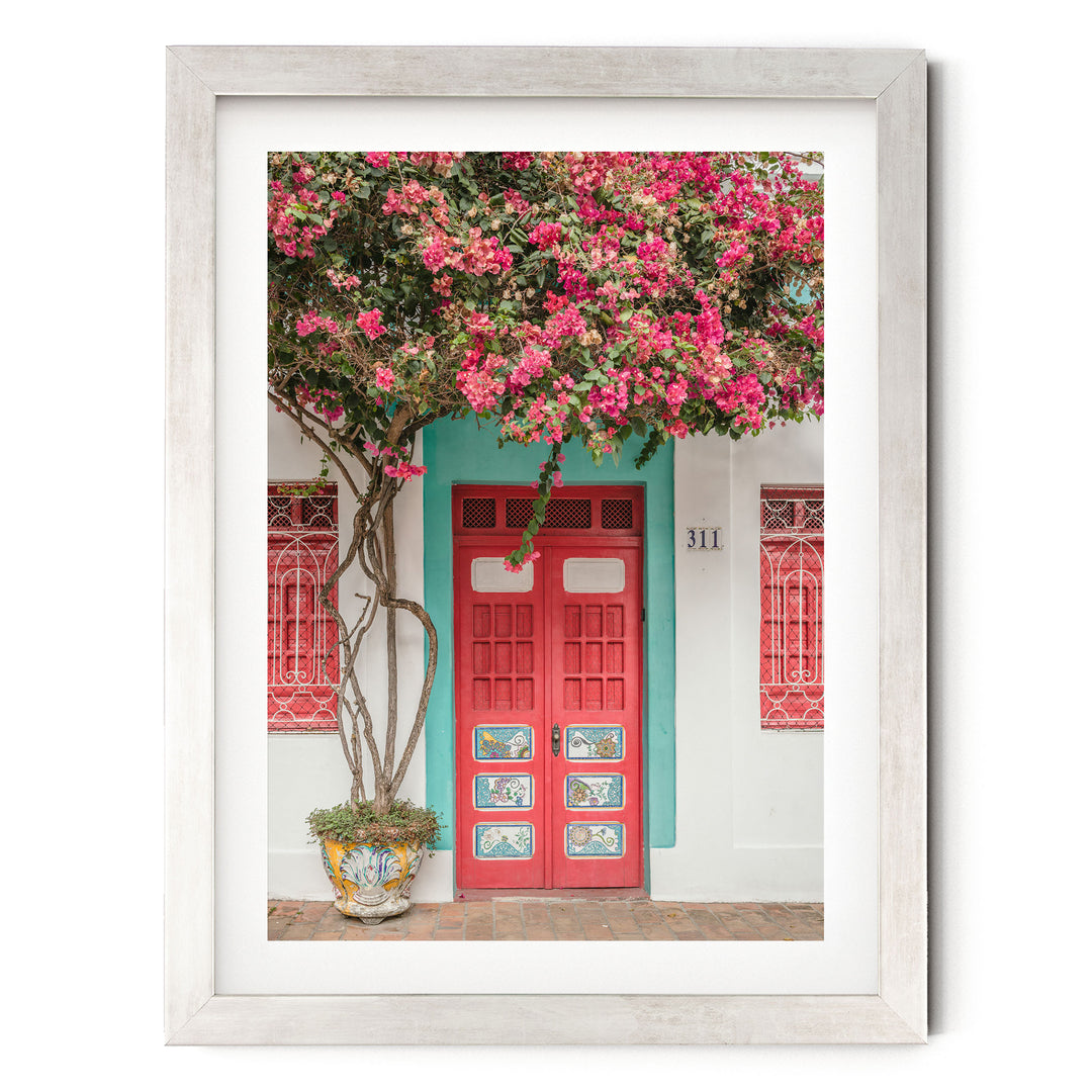 Bougainvillea and Red Door, Olinda, Brazil print in a silver frame with white mat