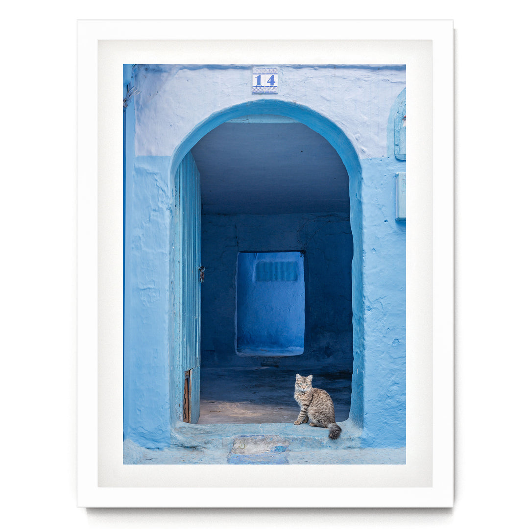 Cat in the Blue Doorway, Chefchaouen, Morocco print in a white frame with white mat