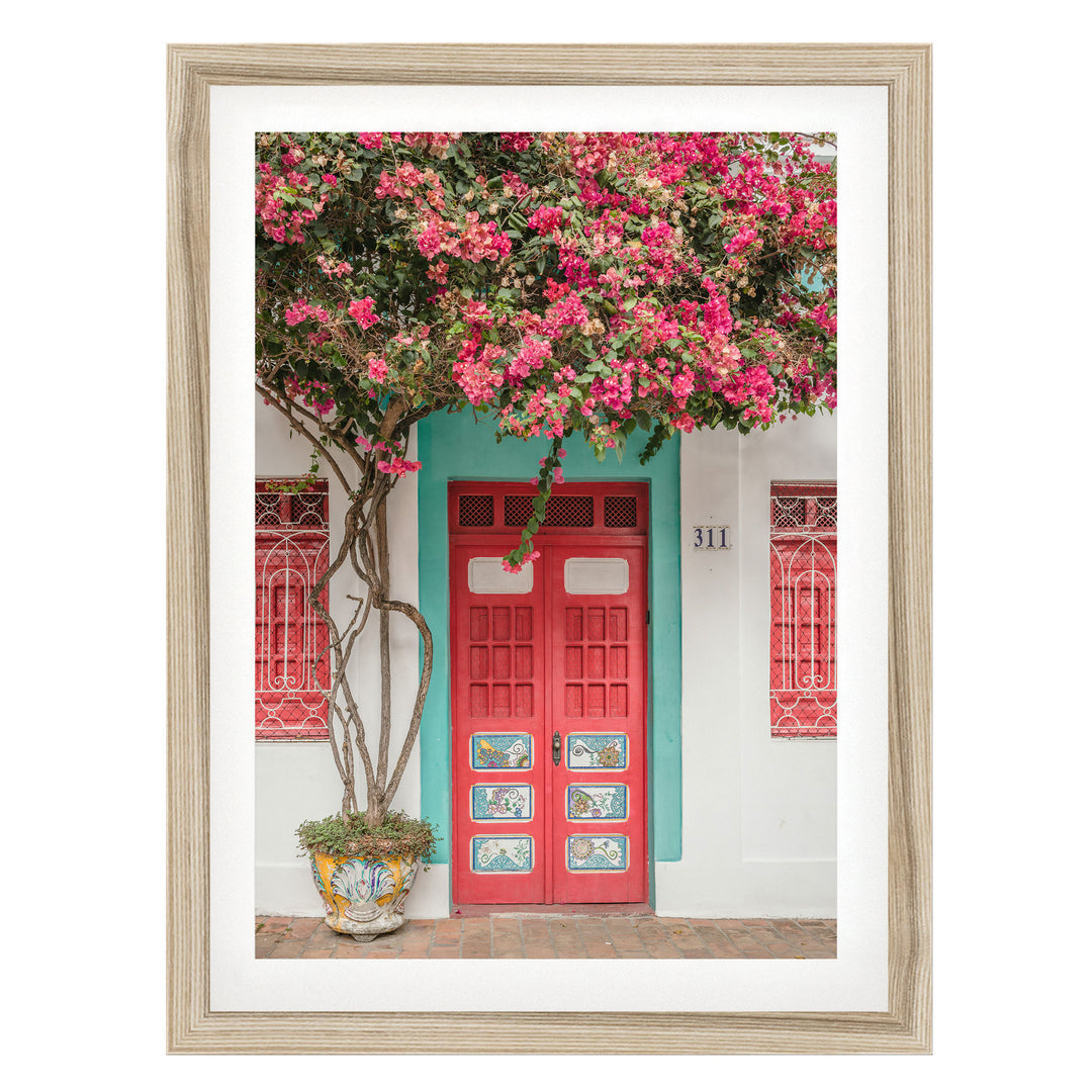 Bougainvillea and Red Door, Olinda, Brazil fine art print in a natural wood frame with white mat