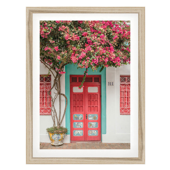 Bougainvillea and Red Door, Olinda, Brazil fine art print in a natural wood frame with white mat