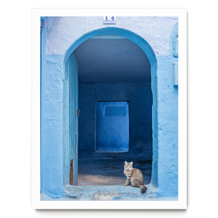 Cat in the Blue Doorway, Chefchaouen, Morocco print in a white frame without mat