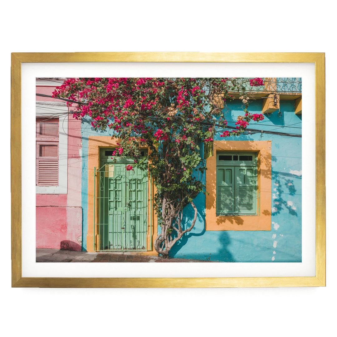 Bougainvillea and Green Door II, Olinda, Brazil print in a gold frame with white mat