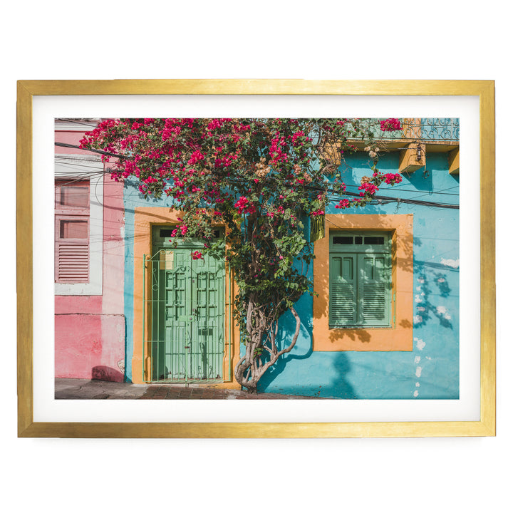 Bougainvillea and Green Door II, Olinda, Brazil print in a gold frame with white mat